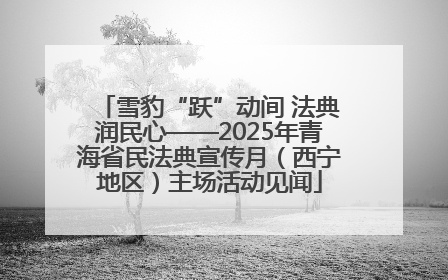 雪豹“跃”动间 法典润民心——2025年青海省民法典宣传月（西宁地区）主场活动见闻