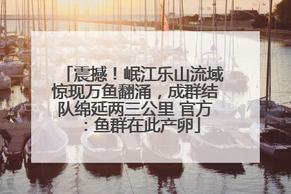 震撼！岷江乐山流域惊现万鱼翻涌，成群结队绵延两三公里 官方：鱼群在此产卵