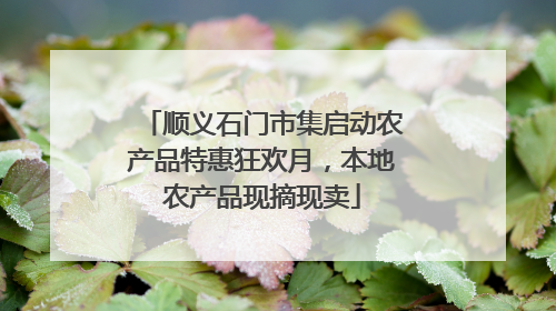 顺义石门市集启动农产品特惠狂欢月，本地农产品现摘现卖