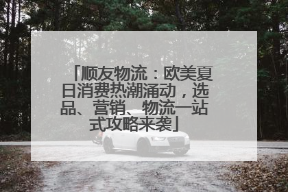 顺友物流：欧美夏日消费热潮涌动，选品、营销、物流一站式攻略来袭
