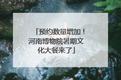 预约数量增加！河南博物院暑期文化大餐来了