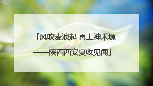 风吹麦浪起 再上神禾塬——陕西西安夏收见闻