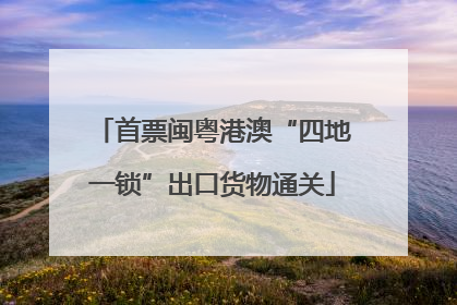 首票闽粤港澳“四地一锁”出口货物通关