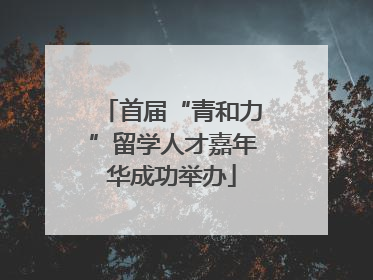首届“青和力”留学人才嘉年华成功举办