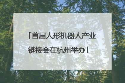 首届人形机器人产业链接会在杭州举办