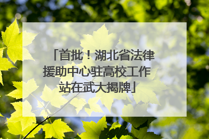 首批！湖北省法律援助中心驻高校工作站在武大揭牌
