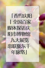 香约庆阳丨全国百家媒体探访庆阳市博物馆 九大展览串联陇东千年脉络