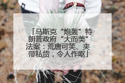 马斯克“炮轰”特朗普政府“大而美”法案：荒唐可笑、夹带私货，令人作呕
