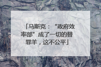 马斯克：“政府效率部”成了一切的替罪羊，这不公平