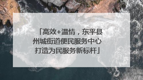 高效+温情，东平县州城街道便民服务中心打造为民服务新标杆