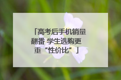 高考后手机销量翻番 学生选购更重“性价比”
