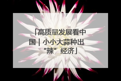 高质量发展看中国｜小小大蒜种出“辣”经济