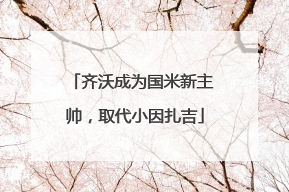 齐沃成为国米新主帅，取代小因扎吉