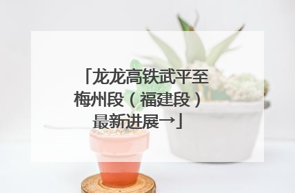 龙龙高铁武平至梅州段（福建段）最新进展→