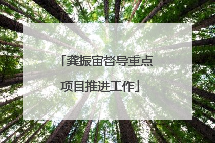 龚振宙督导重点项目推进工作