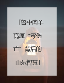 鲁中肉羊高原“零伤亡”背后的山东智慧