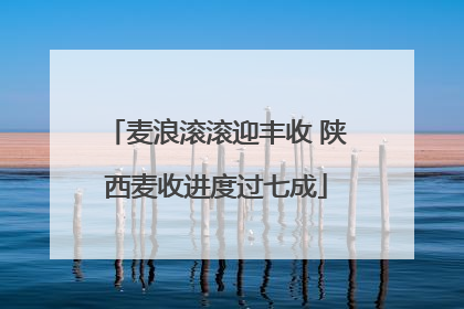 麦浪滚滚迎丰收 陕西麦收进度过七成