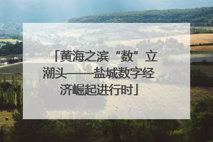 黄海之滨“数”立潮头——盐城数字经济崛起进行时