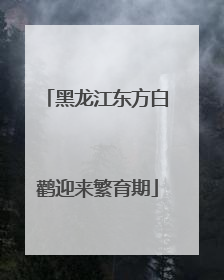 黑龙江东方白鹳迎来繁育期