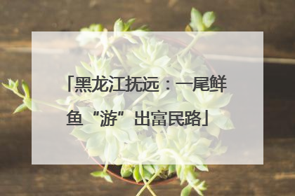 黑龙江抚远：一尾鲜鱼“游”出富民路