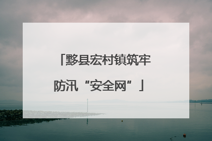黟县宏村镇筑牢防汛“安全网”