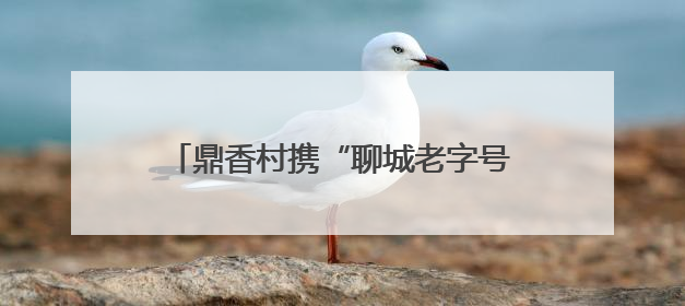 鼎香村携“聊城老字号”惊艳亮相第九届中华老字号（山东）博览会