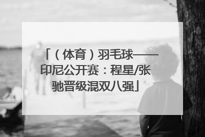 （体育）羽毛球——印尼公开赛：程星/张驰晋级混双八强
