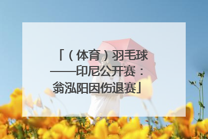 （体育）羽毛球——印尼公开赛：翁泓阳因伤退赛