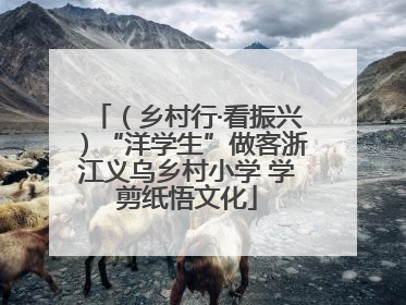 （乡村行·看振兴）“洋学生”做客浙江义乌乡村小学 学剪纸悟文化
