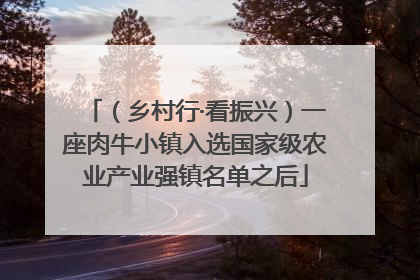 （乡村行·看振兴）一座肉牛小镇入选国家级农业产业强镇名单之后