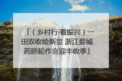（乡村行·看振兴）一田双收绘新景 浙江婺城药膳轮作喜迎丰收季