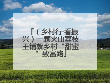 （乡村行·看振兴）一颗火山荔枝王铺就乡村“甜蜜”致富路