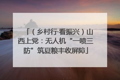 （乡村行·看振兴）山西上党：无人机“一喷三防”筑夏粮丰收屏障
