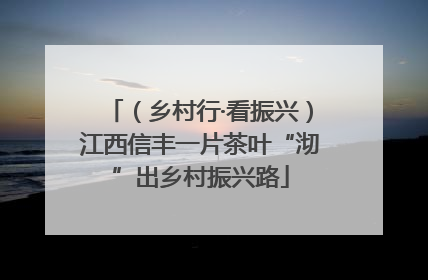 （乡村行·看振兴）江西信丰一片茶叶“沏”出乡村振兴路