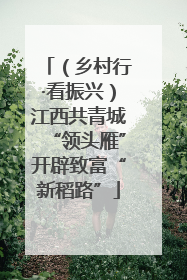 （乡村行·看振兴）江西共青城“领头雁”开辟致富“新稻路”