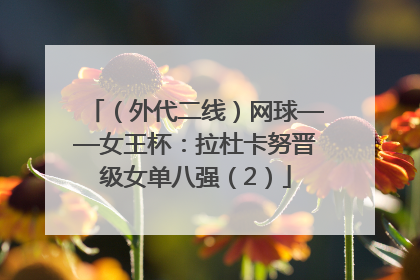（外代二线）网球——女王杯：拉杜卡努晋级女单八强（2）