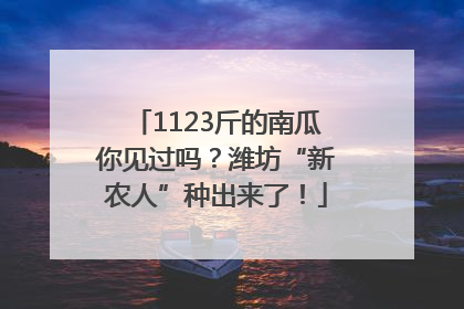 1123斤的南瓜你见过吗？潍坊“新农人”种出来了！