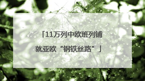 11万列中欧班列铺就亚欧“钢铁丝路”