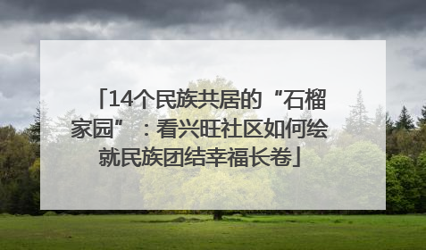 14个民族共居的“石榴家园”：看兴旺社区如何绘就民族团结幸福长卷