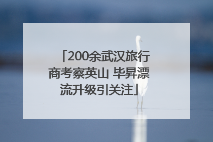 200余武汉旅行商考察英山 毕昇漂流升级引关注