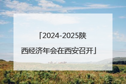 2024-2025陕西经济年会在西安召开