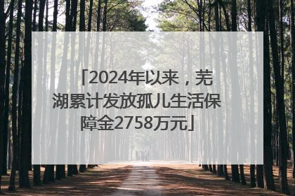 2024年以来，芜湖累计发放孤儿生活保障金2758万元