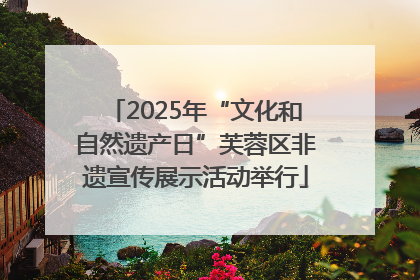 2025年“文化和自然遗产日”芙蓉区非遗宣传展示活动举行