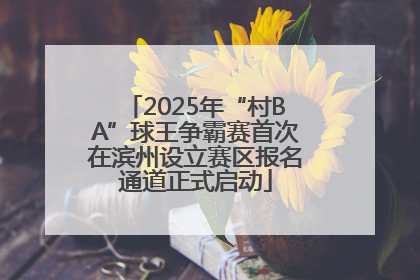 2025年“村BA”球王争霸赛首次在滨州设立赛区报名通道正式启动