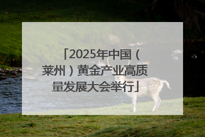 2025年中国（莱州）黄金产业高质量发展大会举行