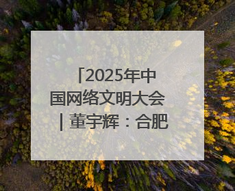 2025年中国网络文明大会｜董宇辉：合肥在记忆里很遥远也很亲切