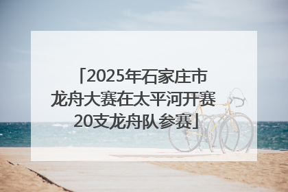 2025年石家庄市龙舟大赛在太平河开赛 20支龙舟队参赛