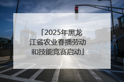 2025年黑龙江省农业春播劳动和技能竞赛启动