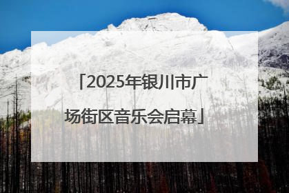 2025年银川市广场街区音乐会启幕
