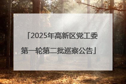 2025年高新区党工委第一轮第二批巡察公告